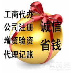 深圳的餐饮服务 从精致到多元的美食之都
